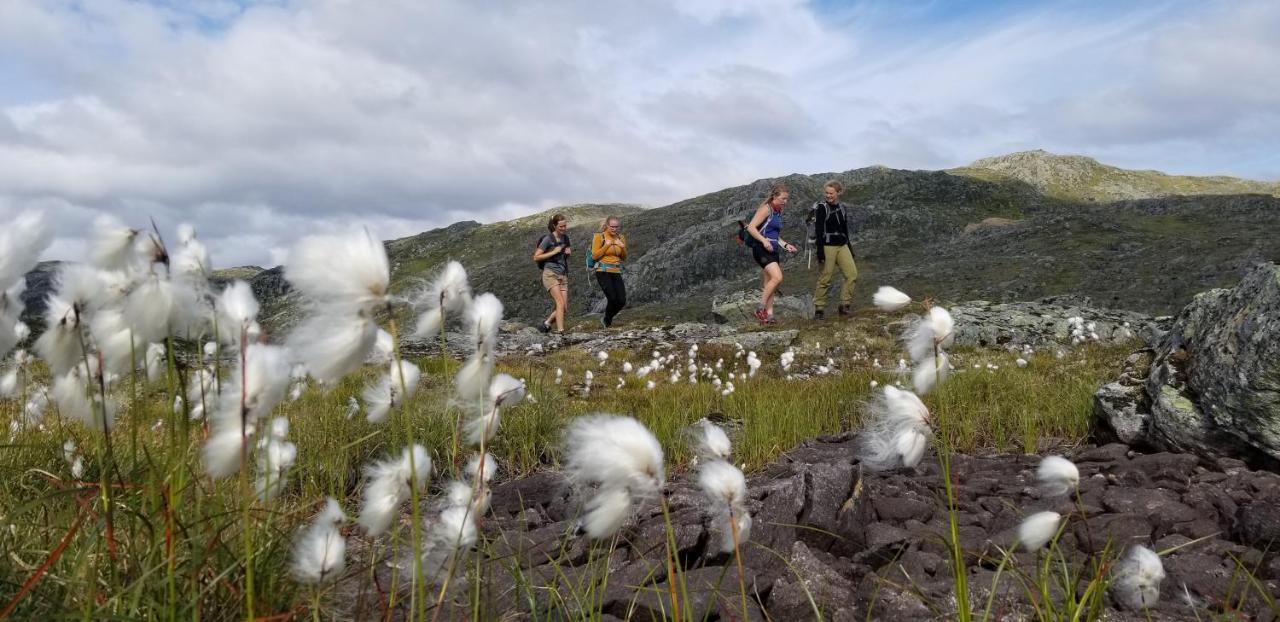 Heggjabygda Gjestegard, Nordfjordeid Exteriér fotografie